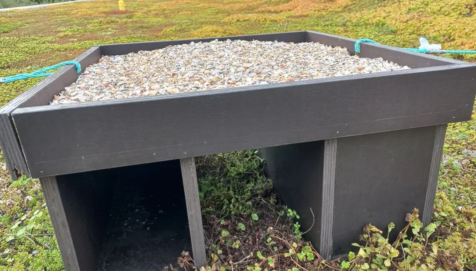 Kunstnesten succesvol?